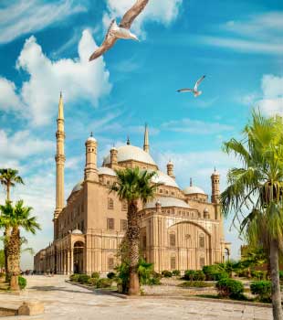 Travel Destination